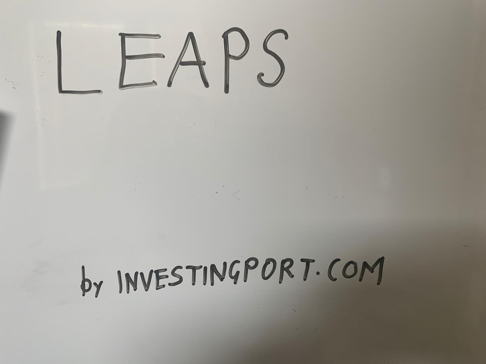 What is Long-Term Equity Anticipation Securities (LEAPS)