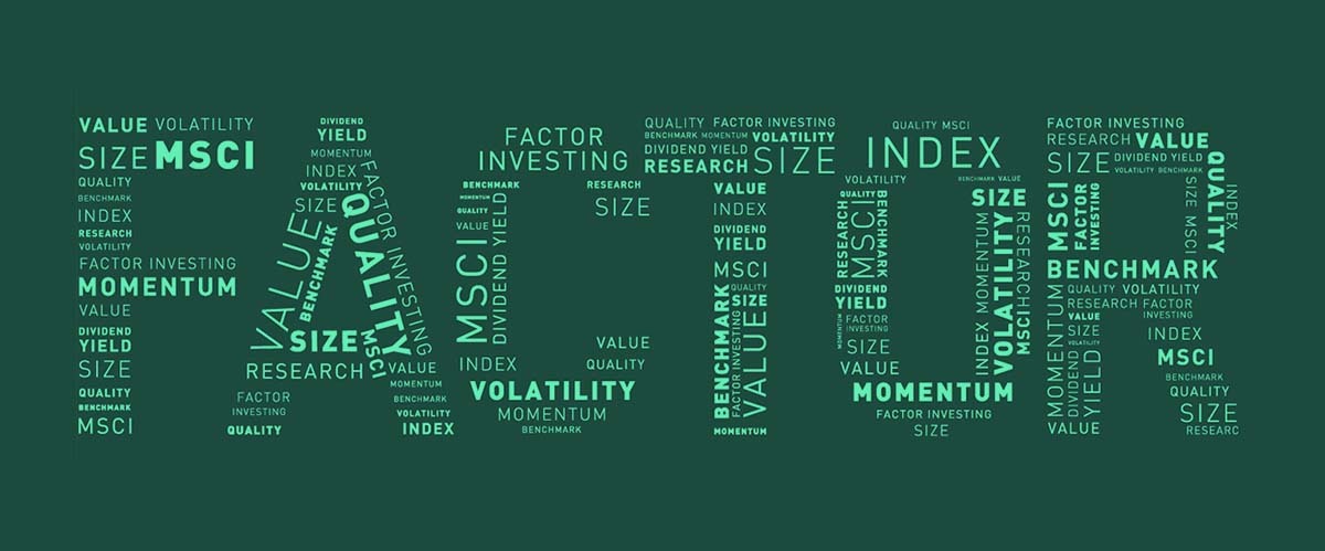 What is Factor Investing?